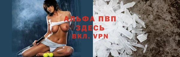 винт Аркадак