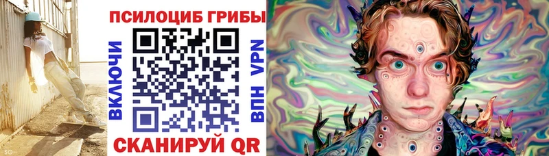 Галлюциногенные грибы Cubensis  Спас-Клепики 